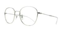 Silver Ray-Ban RB6509-53 Round Glasses - Angle