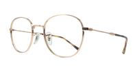 Rose Gold Ray-Ban RB6509 Round Glasses - Angle