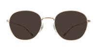Rose Gold Ray-Ban RB6509 Round Glasses - Sun