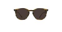 Brown / Grey Ray-Ban RB7151 Square Glasses - Sun