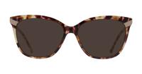 Tortoise Scout Made in Italy Gnaga Cat-eye Glasses - Sun