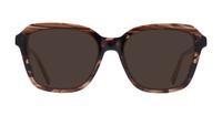 Brown Scout Made in Italy Turchi Square Glasses - Sun