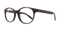 Dark Tortoise Scout East-53 Round Glasses - Angle