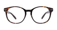 Dark Tortoise Scout East-53 Round Glasses - Front