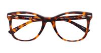 Havana Scout Grazia Cat-eye Glasses - Flat-lay