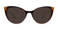 Bi layer Brown Horn Scout Hayley Cat-eye Glasses - Sun