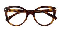 Havana Scout Jade Oval Glasses - Flat-lay