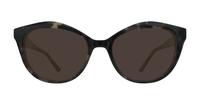 Havana Grey Scout Kelly Wayfarer Glasses - Sun