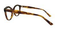 Havana Scout Kelly Wayfarer Glasses - Side