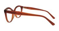 Translucent Honey Scout Kelly Wayfarer Glasses - Side