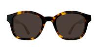 Havana Scout Kendal Rectangle Glasses - Sun