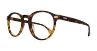 Havana Scout Kian Round Glasses - Angle