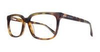 Classic Tort Ted Baker Andi Rectangle Glasses - Angle