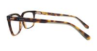 Classic Tort Ted Baker Andi Rectangle Glasses - Side