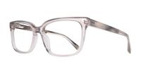 Gloss Crystal Grey Ted Baker Andi Rectangle Glasses - Angle