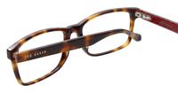 Tortoise Ted Baker Berg Rectangle Glasses - Detail