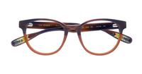 Dark Brown Ted Baker Cade Round Glasses - Flat-lay