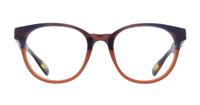 Dark Brown Ted Baker Cade Round Glasses - Front