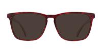 Red / Tortoise Ted Baker Carlson Square Glasses - Sun