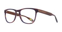 Dark Brown / Blue Horn Ted Baker Clayton Rectangle Glasses - Angle