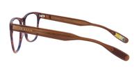 Dark Brown / Blue Horn Ted Baker Clayton Rectangle Glasses - Side