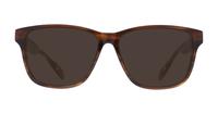 Brown Horn / Beige Ted Baker Efren Rectangle Glasses - Sun