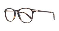 Tortoise Ted Baker Finch Round Glasses - Angle