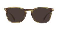 Brown Ted Baker Hyde Round Glasses - Sun