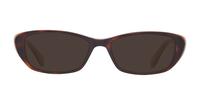 Tortoise / Beige Ted Baker Optique Cat-eye Glasses - Sun