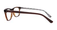 Gloss Brown Horn Ted Baker Rowan Rectangle Glasses - Side