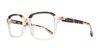 Gloss Pale Crystal Champagne Ted Baker Willian Square Glasses - Angle