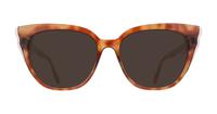 Brown Ted Baker Zowie Square Glasses - Sun