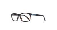Dark Havana Timberland TB1362 Rectangle Glasses - Angle