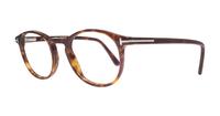 Dark Havana Tom Ford FT5294 Round Glasses - Angle