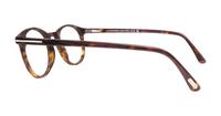 Dark Havana Tom Ford FT5294 Round Glasses - Side