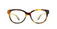 Havanah Tommy Hilfiger TH1387 Round Glasses - Front