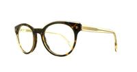 Yellow Havana Tommy Hilfiger TH1438 Round Glasses - Angle