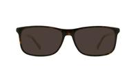 Havana Tommy Hilfiger TH1452 Rectangle Glasses - Sun