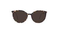 Havana Tommy Hilfiger TH1630 Cat-eye Glasses - Sun
