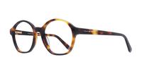 Dark Havana Tommy Hilfiger TH1683 Round Glasses - Angle