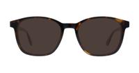 Dark Havana Tommy Hilfiger TH1704 Rectangle Glasses - Sun