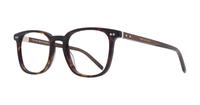 Havana Tommy Hilfiger TH1814 Square Glasses - Angle